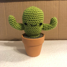 Load image into Gallery viewer, Small Cactus Plush - 3” Terracotta Pot - Customizable