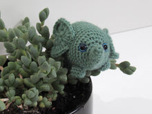 Load image into Gallery viewer, Timi the Tiny Elephant