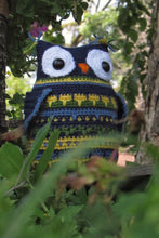 Load image into Gallery viewer, Leaping Stitch Owl (Blue, Green, Yellow)
