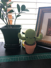 Load image into Gallery viewer, Small Cactus Plush - 3” Terracotta Pot - Customizable