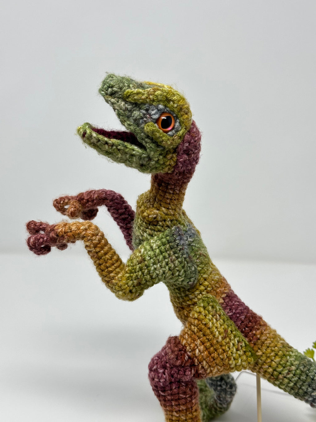Customizable Raptor