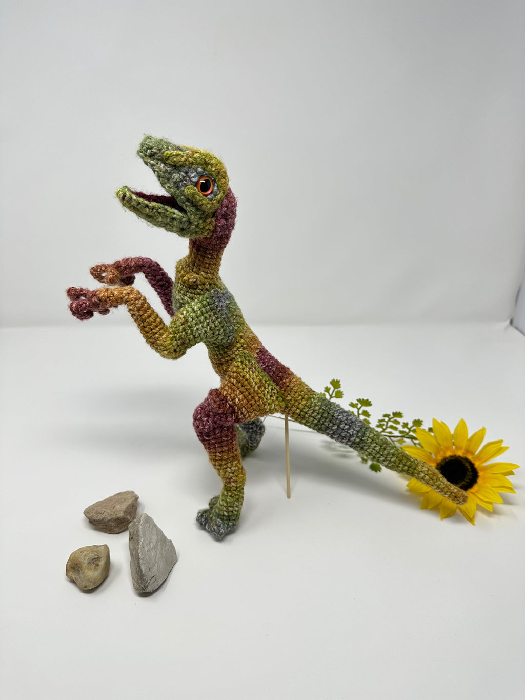 Customizable Raptor
