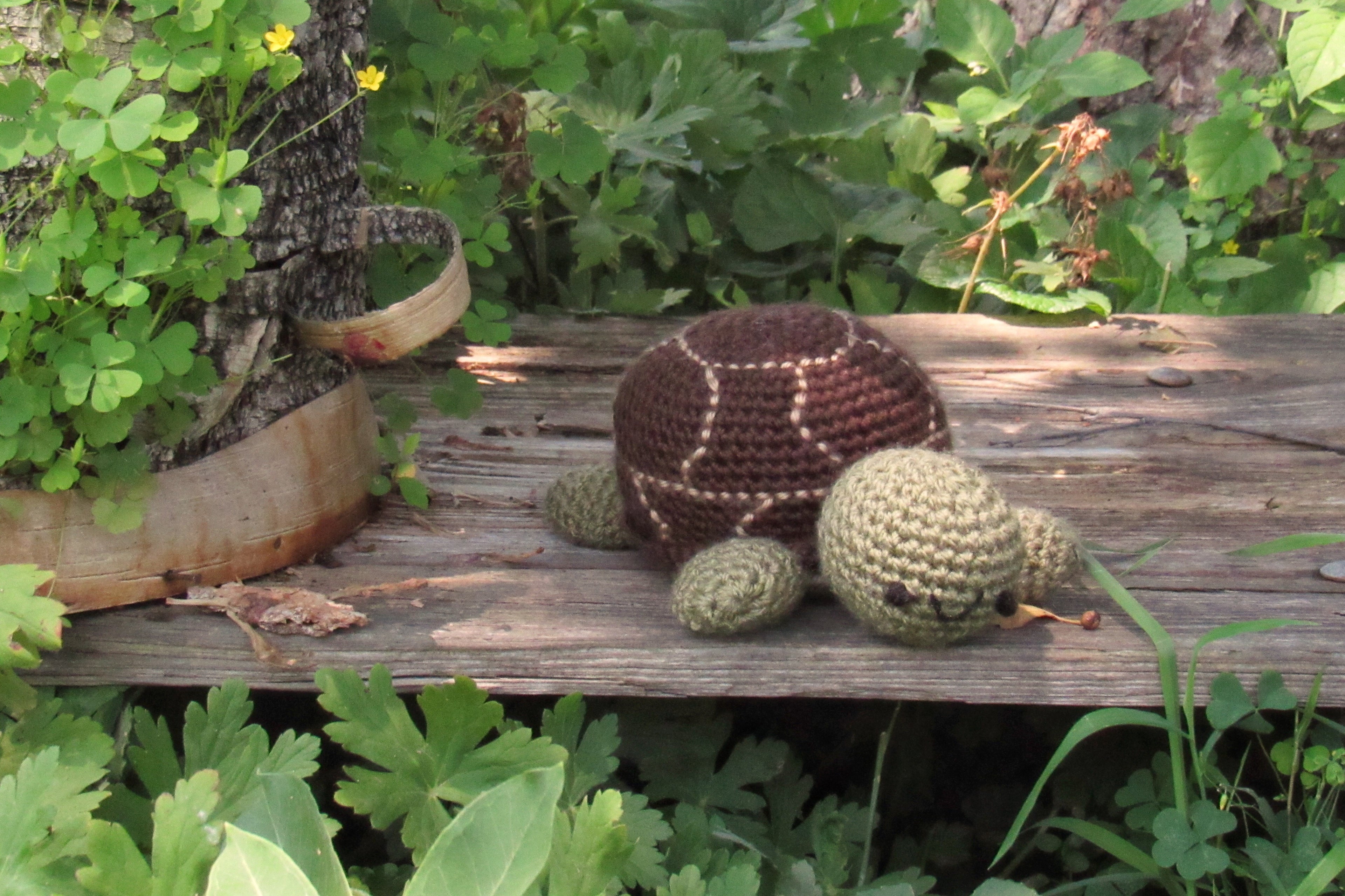 Small Turtle Plushie - Customizable