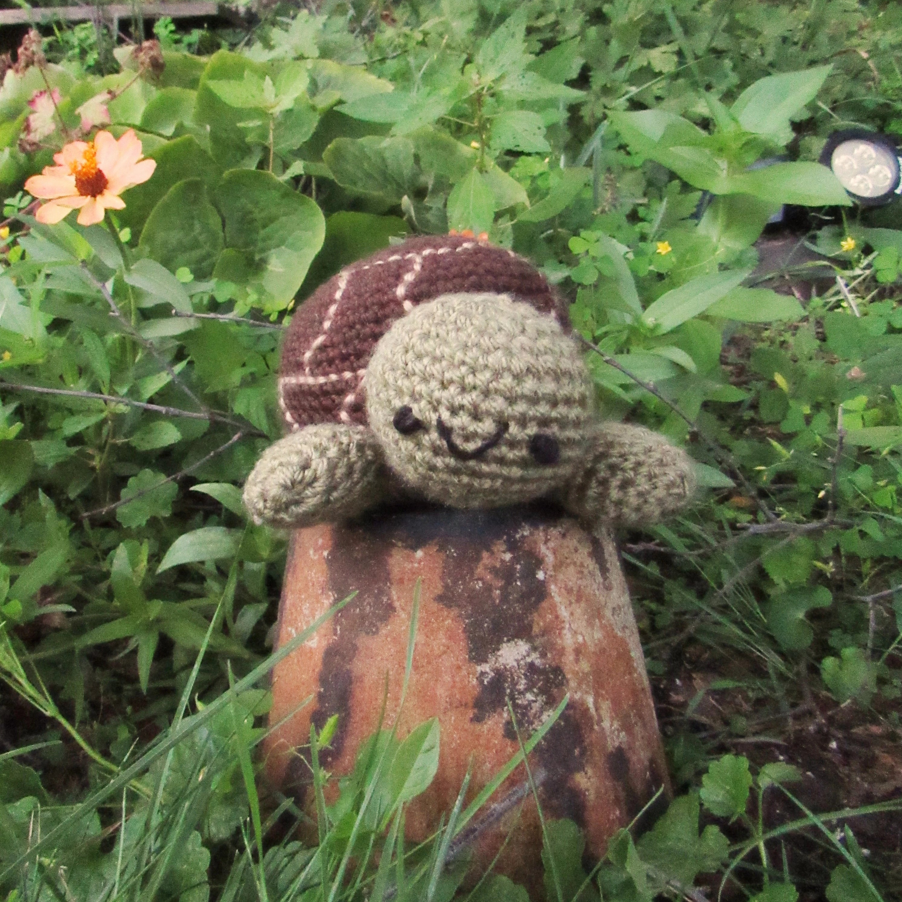 Small Turtle Plushie - Customizable