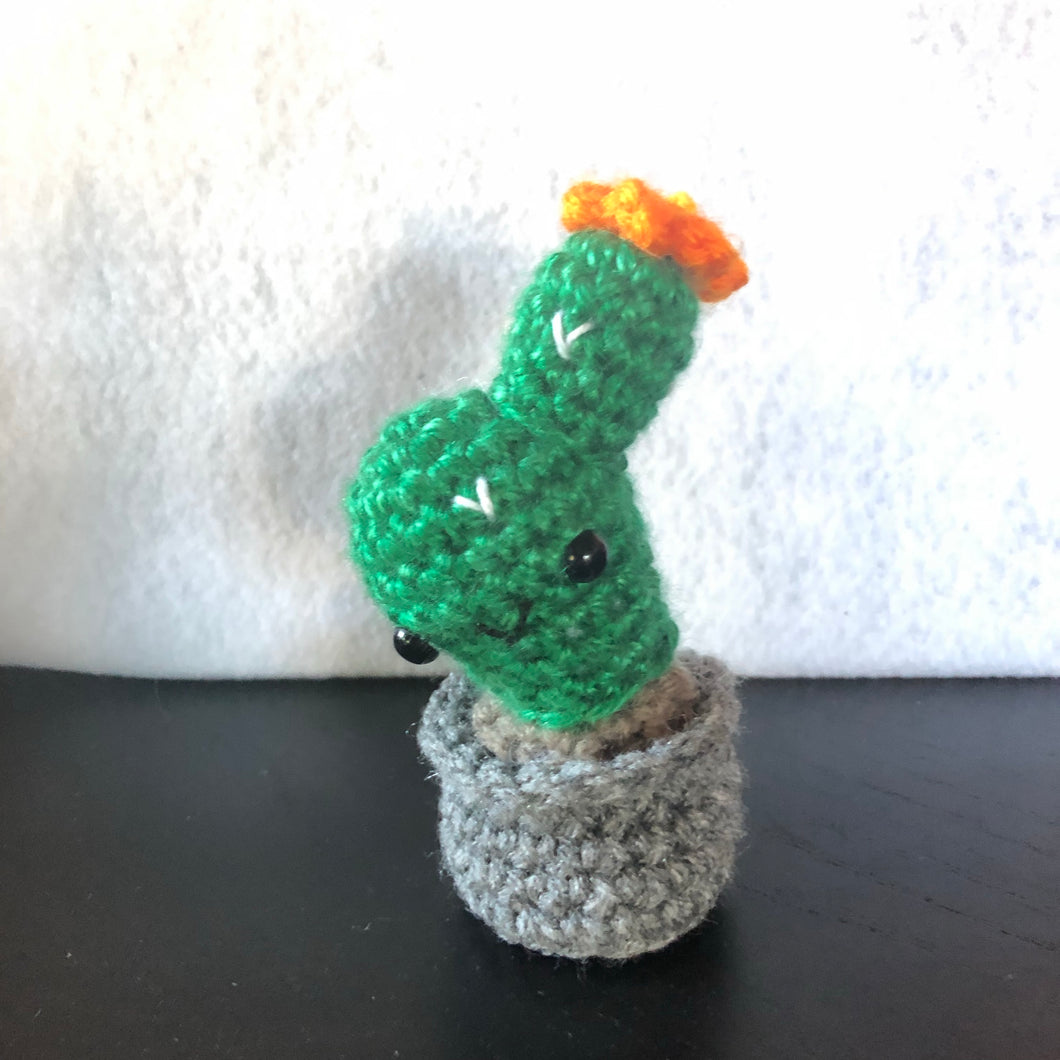 Dabbing Mini Desk Cactus