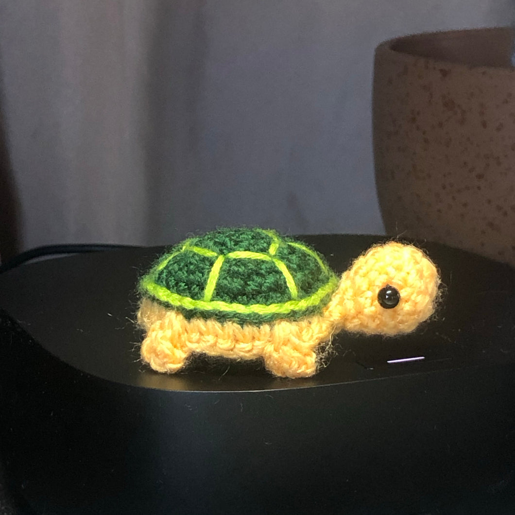 Itty Bitty Turtle