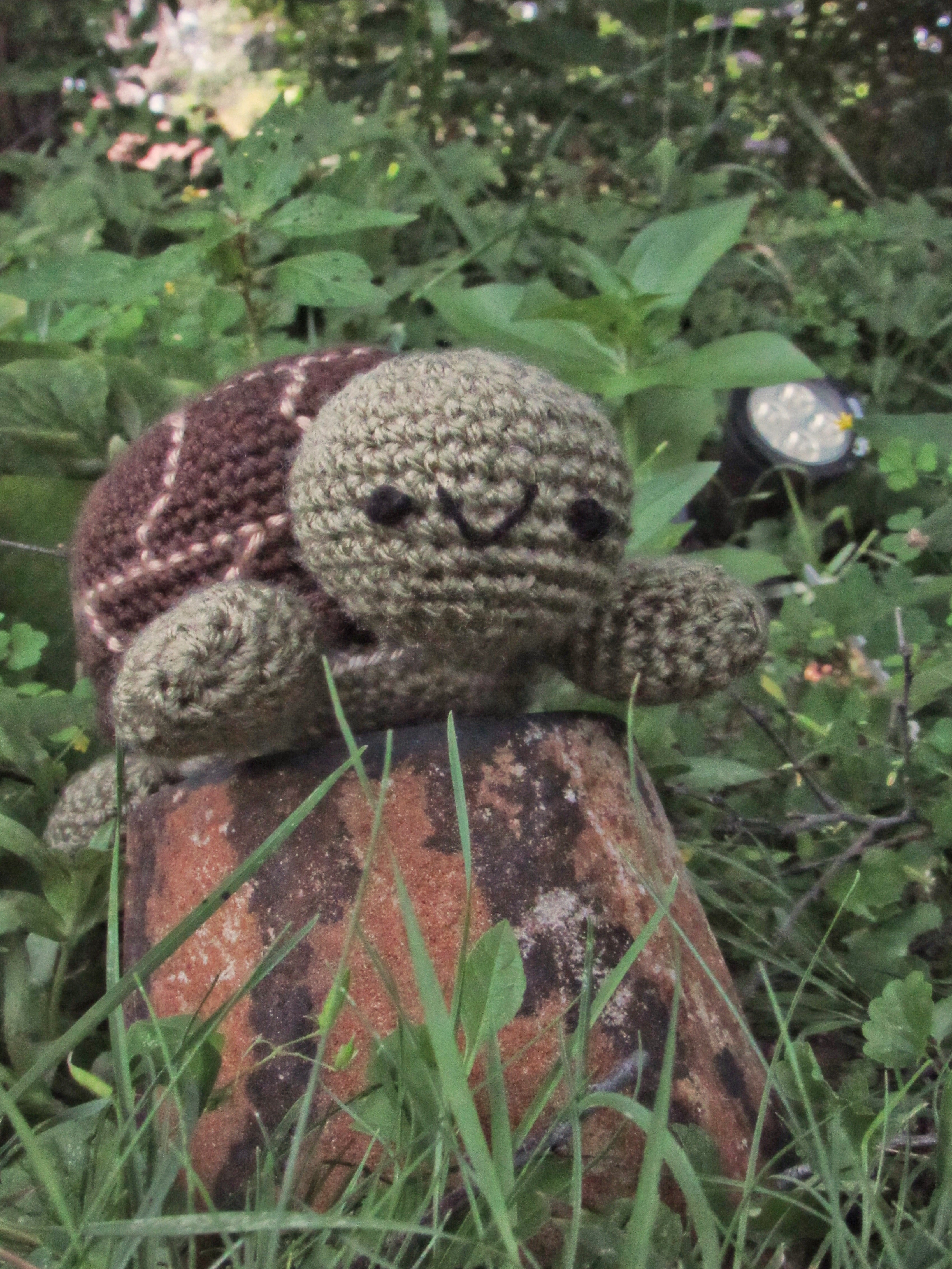 Small Turtle Plushie - Customizable