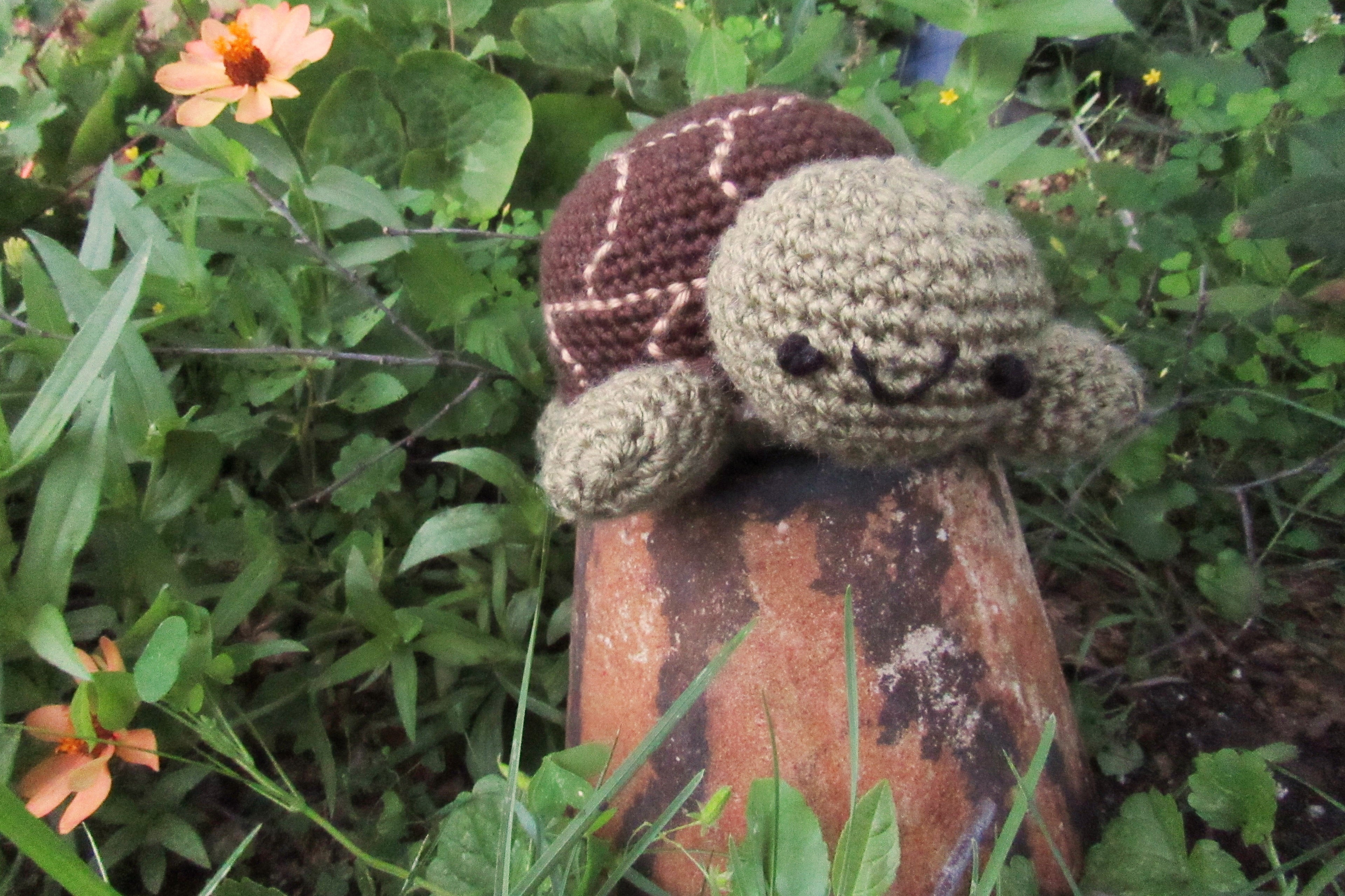 Small Turtle Plushie - Customizable