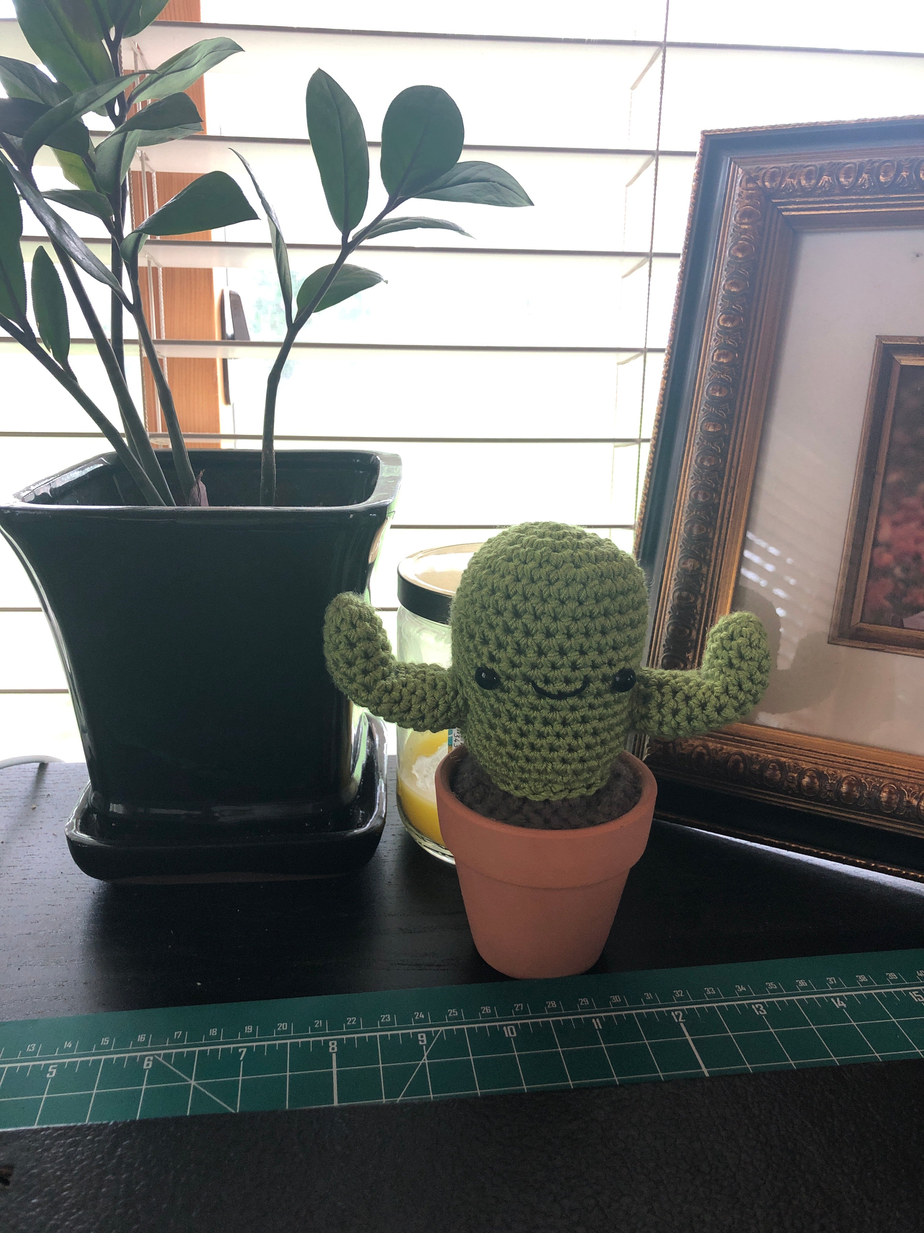 Small Cactus Plush - 3” Terracotta Pot - Customizable