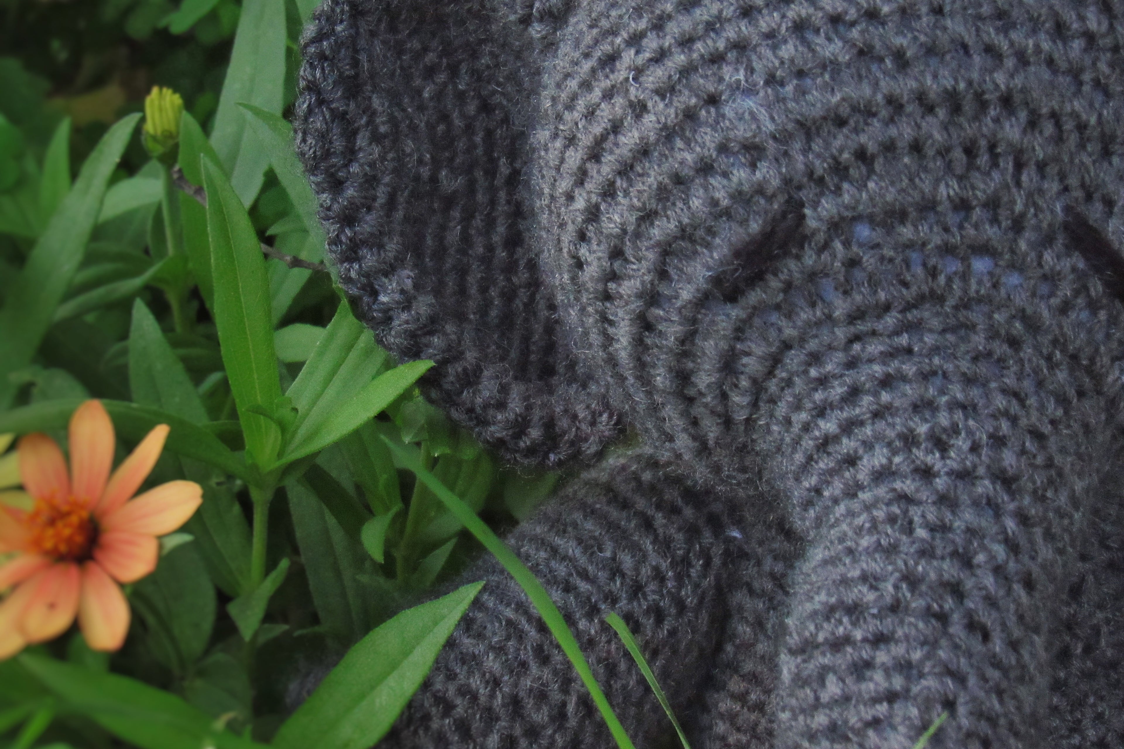 Elle E. Phunt Plushie