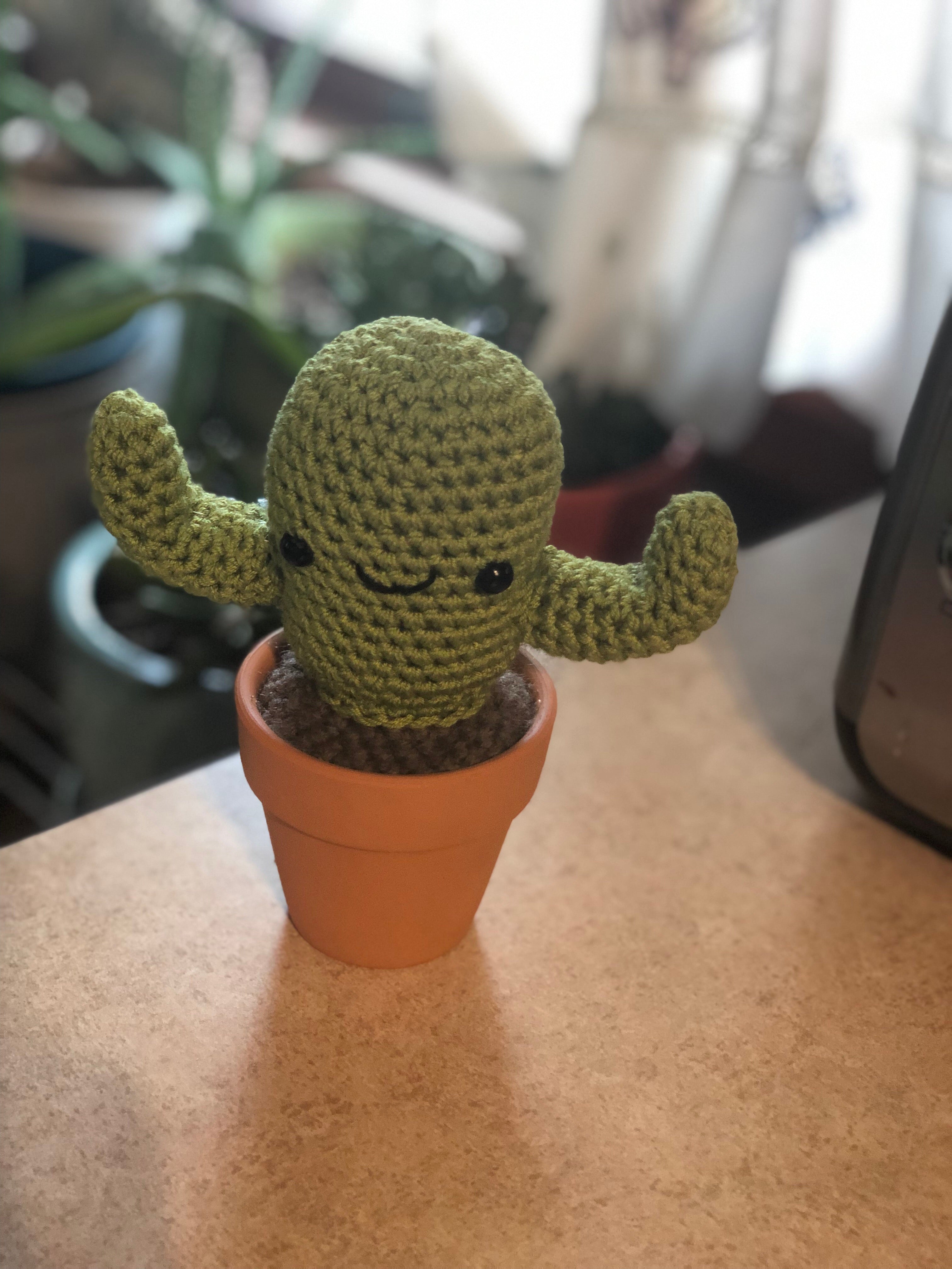 Small Cactus Plush - 3” Terracotta Pot - Customizable